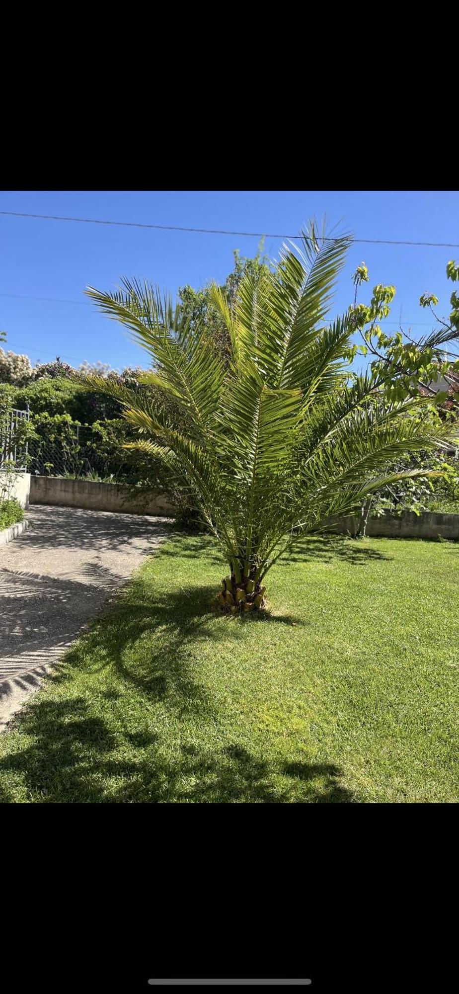 Villa Climatise Avec Piscine Et Jacuzzi Carpentras Exterior foto